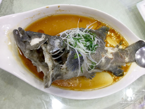 養生食譜----清蒸松江鱸魚